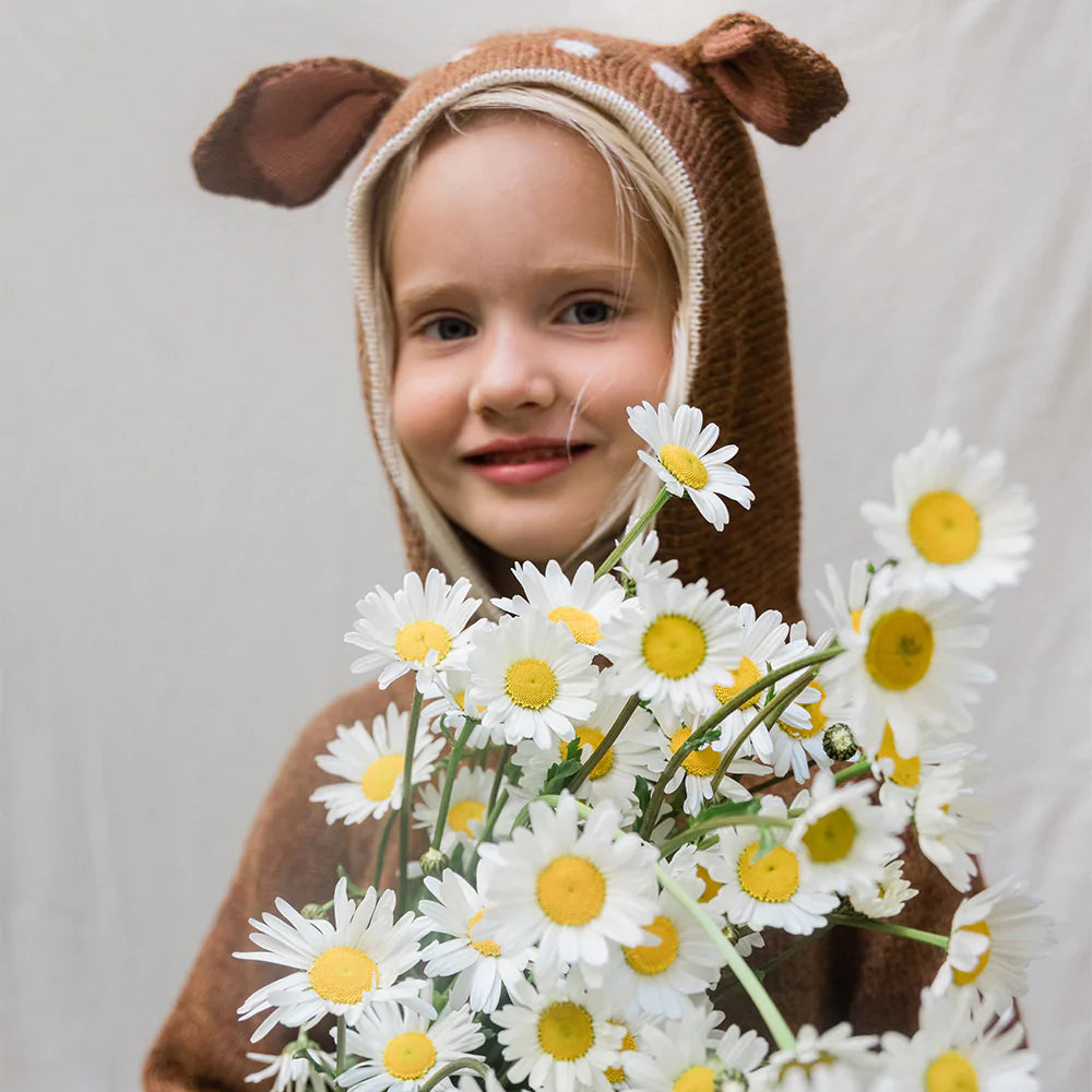 Boys & Girls Brown Alpaca Hooded Sweater