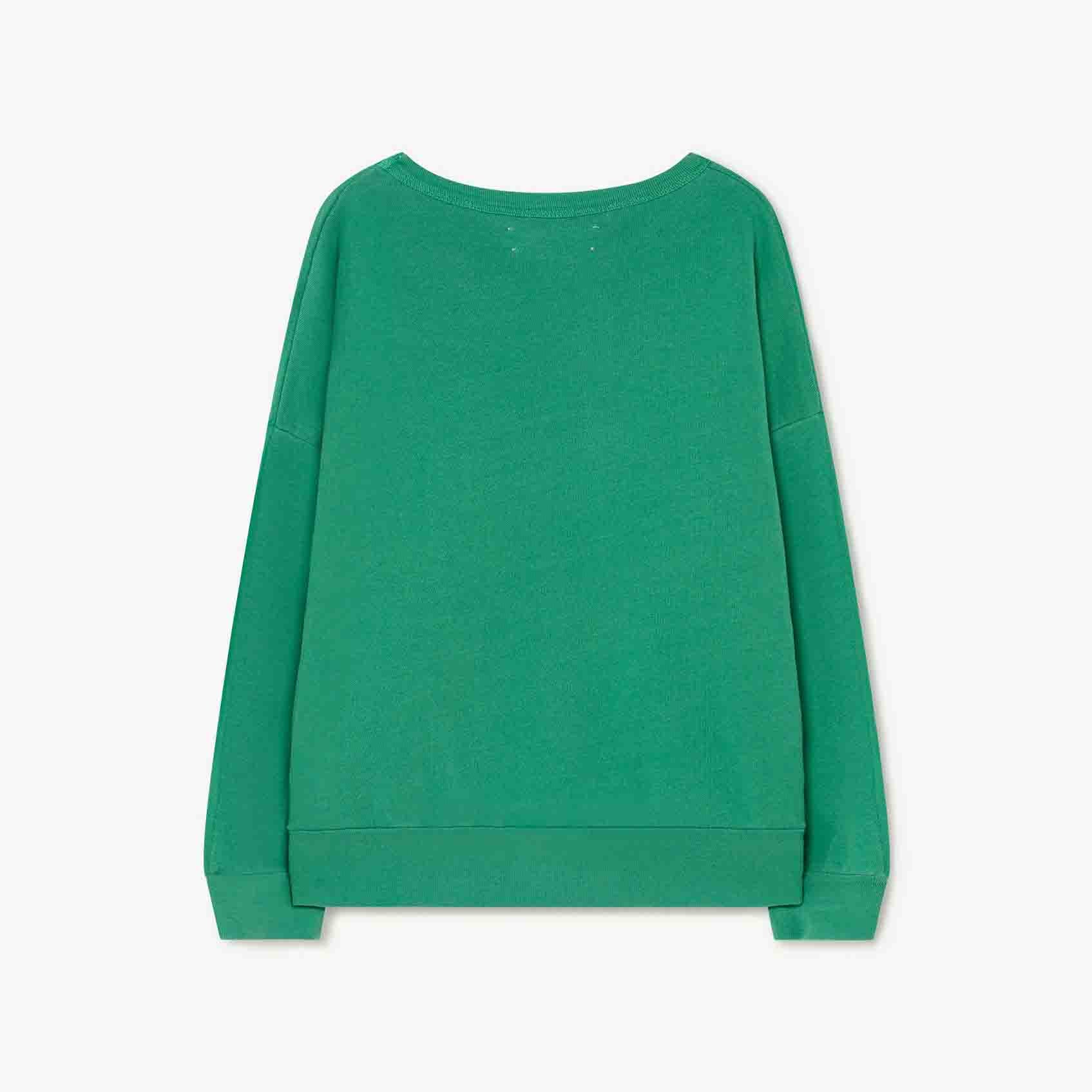 Boys & Girls Green Cotton Sweatshirt