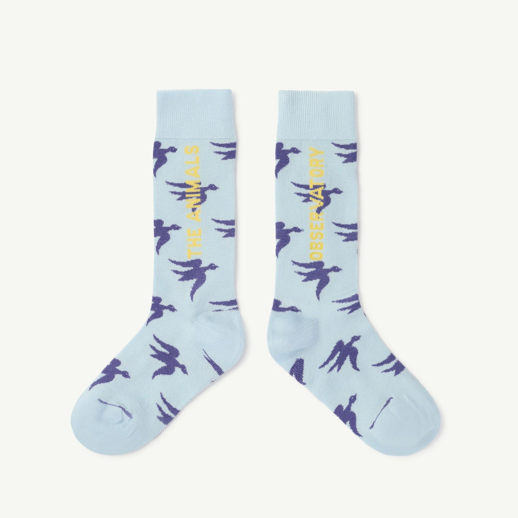 Boys & Girls Blue Bird Cotton Socks