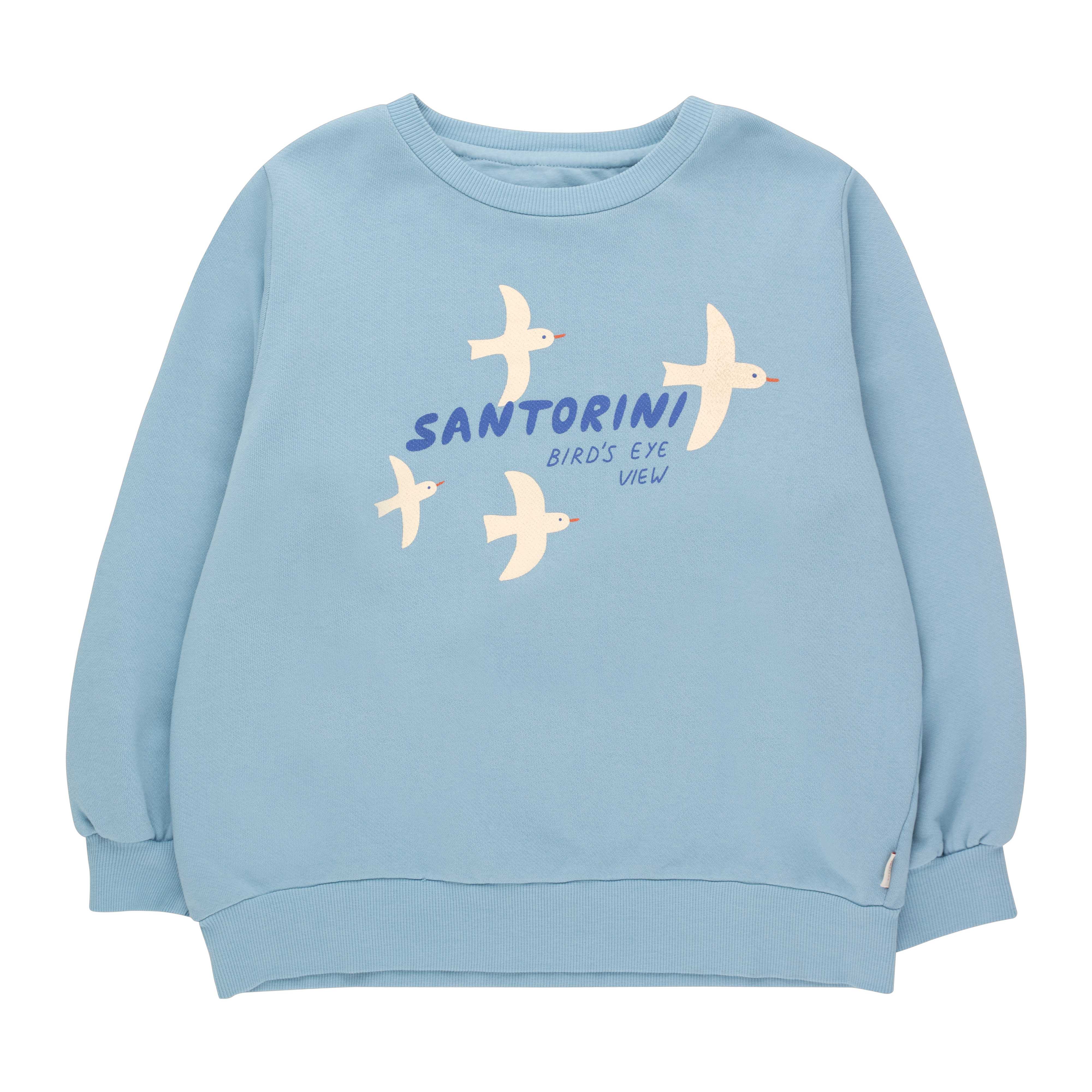 Boys & Girls Blue Cotton Sweatshirt