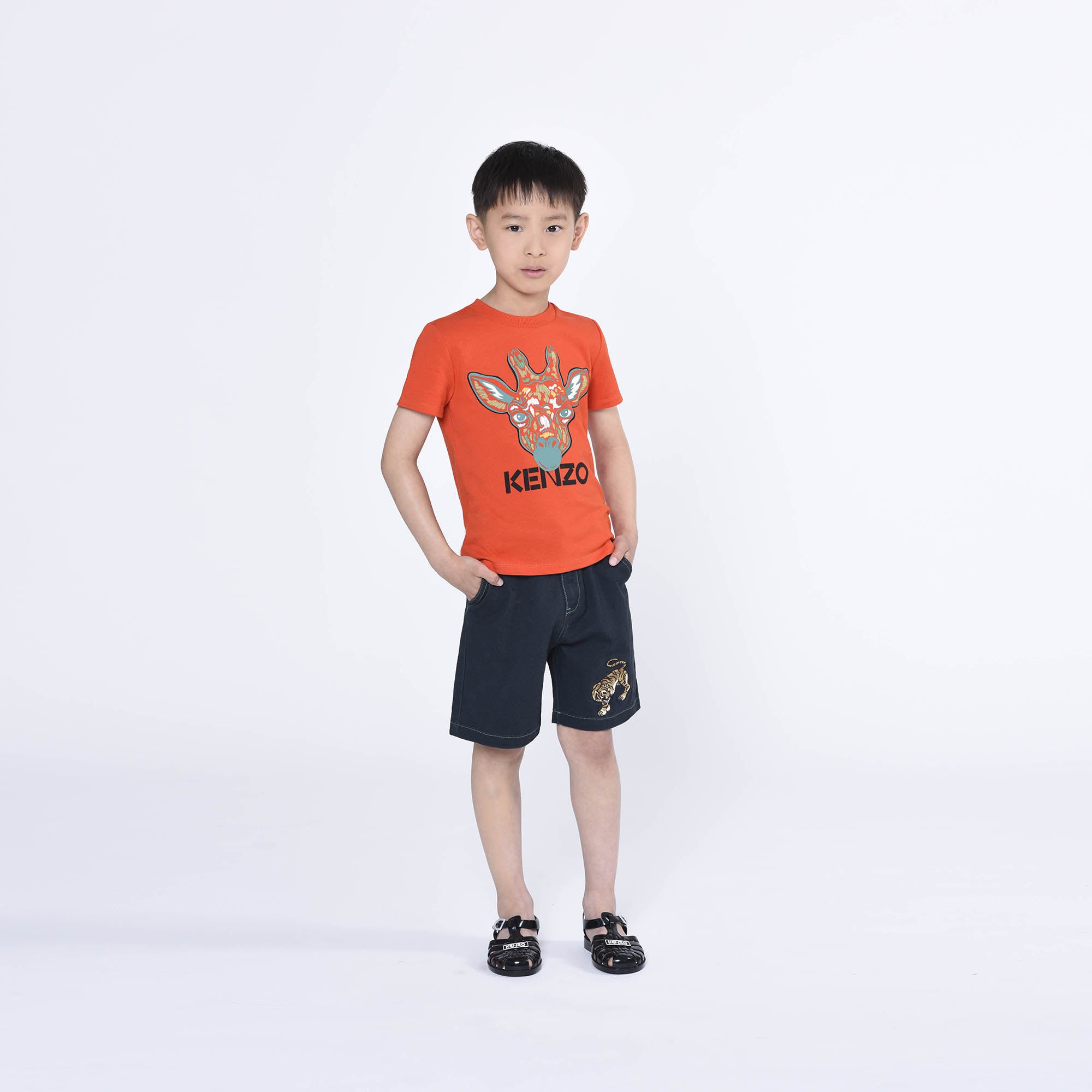 Boys Black Tiger Cotton Shorts