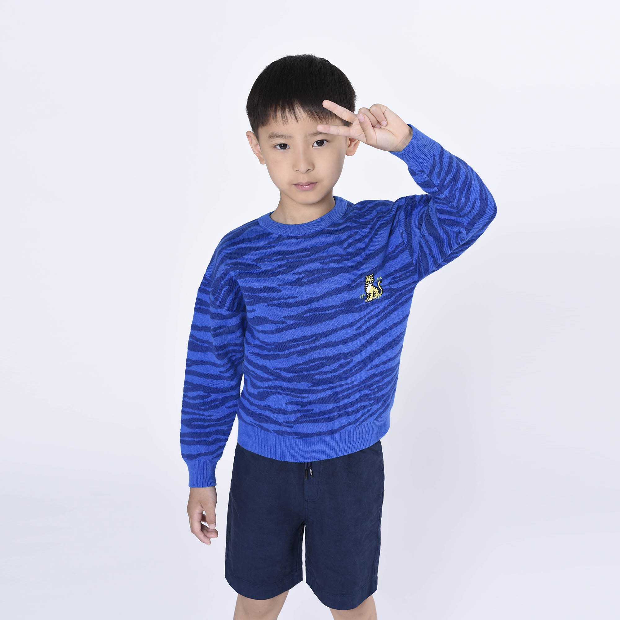 Boys Blue Cotton Sweater
