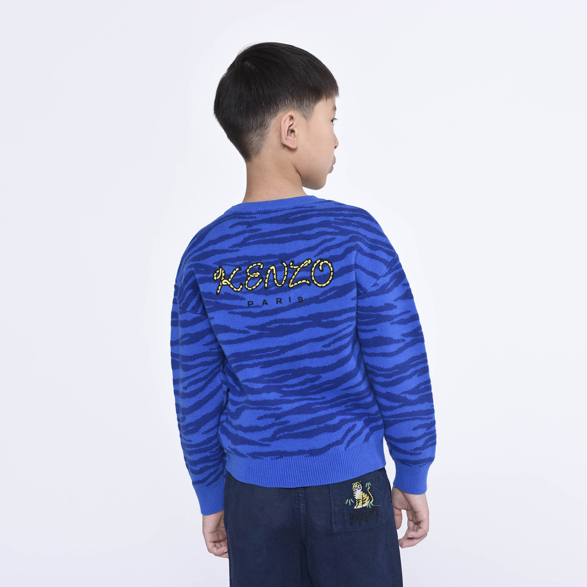Boys Blue Cotton Sweater