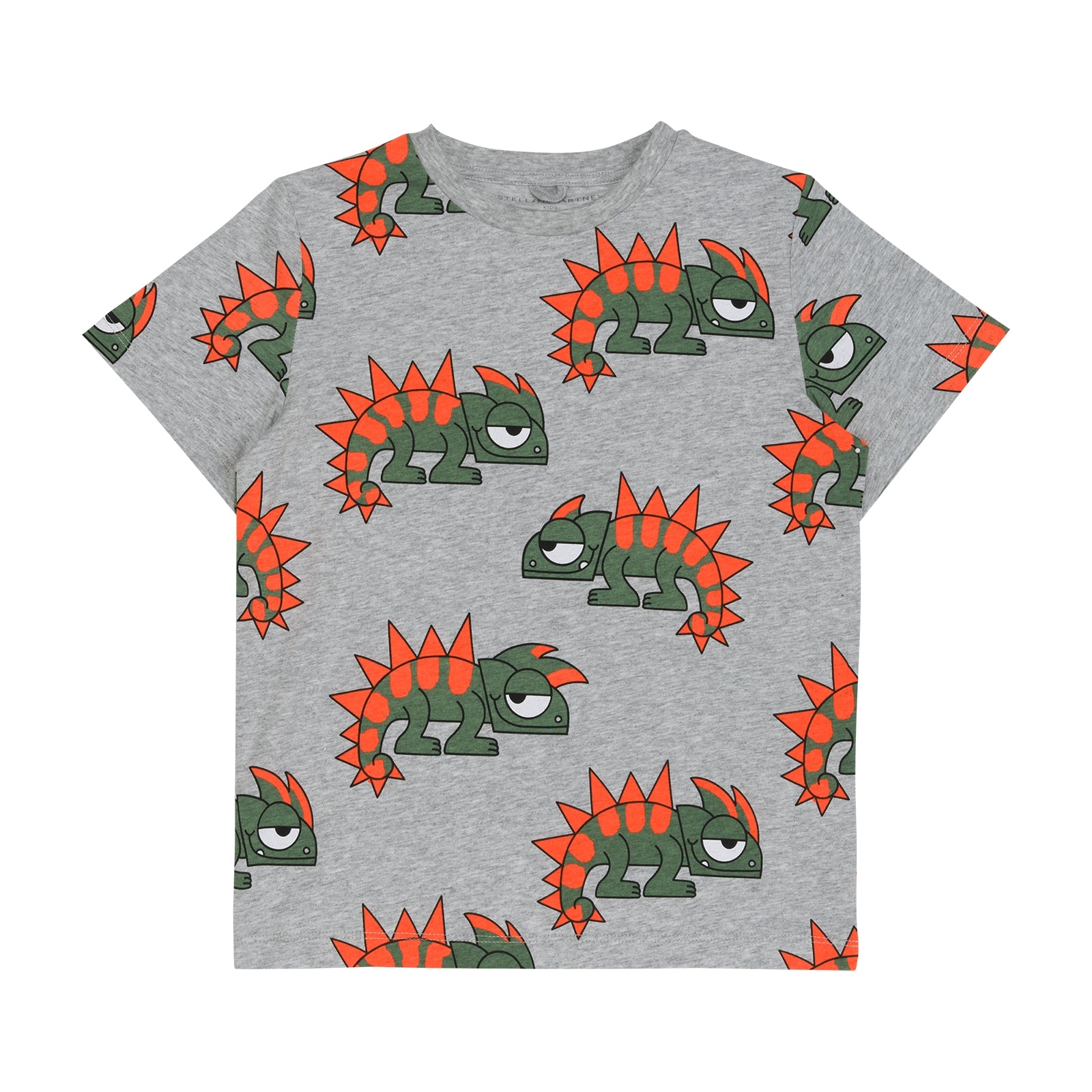 Boys Grey Printed Cotton T-Shirt