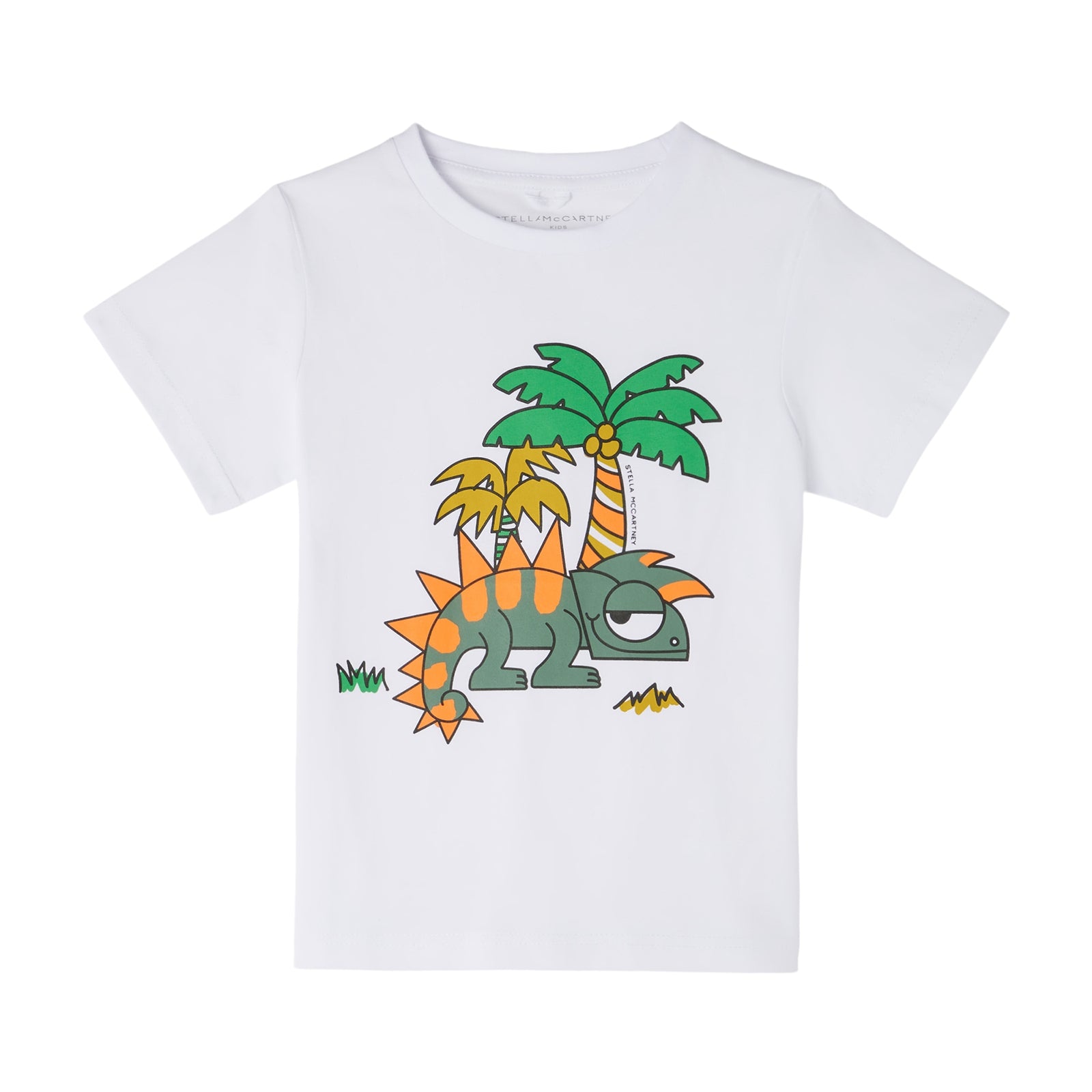 Boys White Printed Cotton T-Shirt