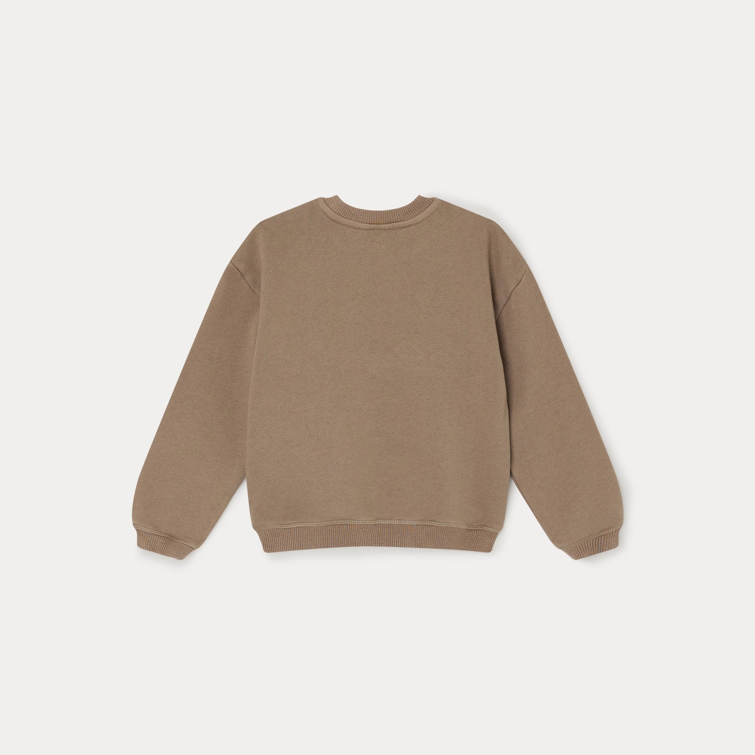 Boys Camel Logo Cotton Sweatshirt