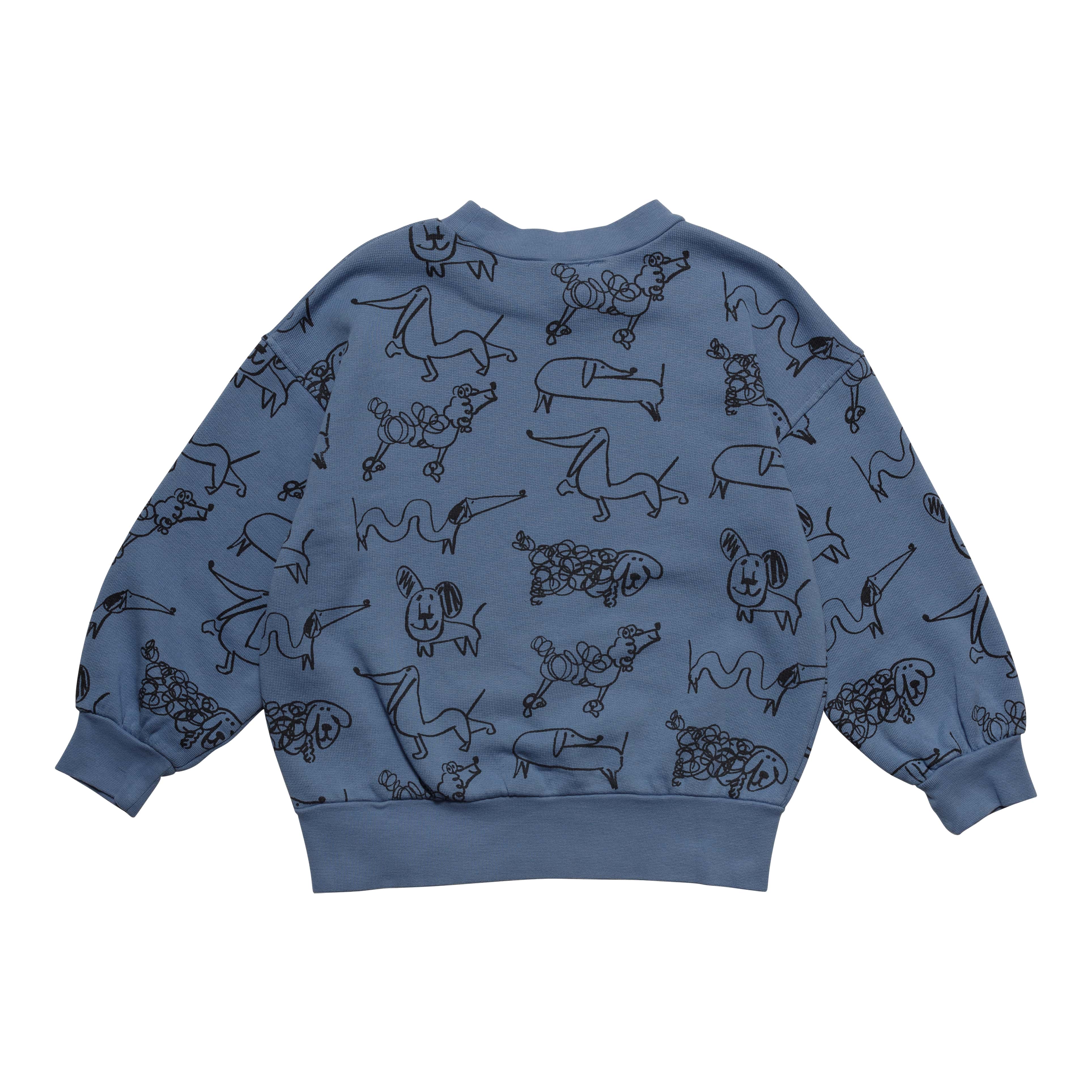 Boys & Girls Blue Printed Cotton Sweatshirt
