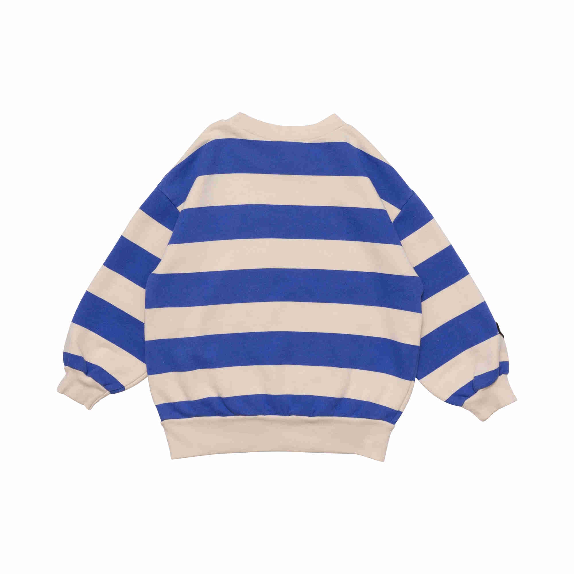 Boys & Girls Blue Stripe Cotton Sweatshirt