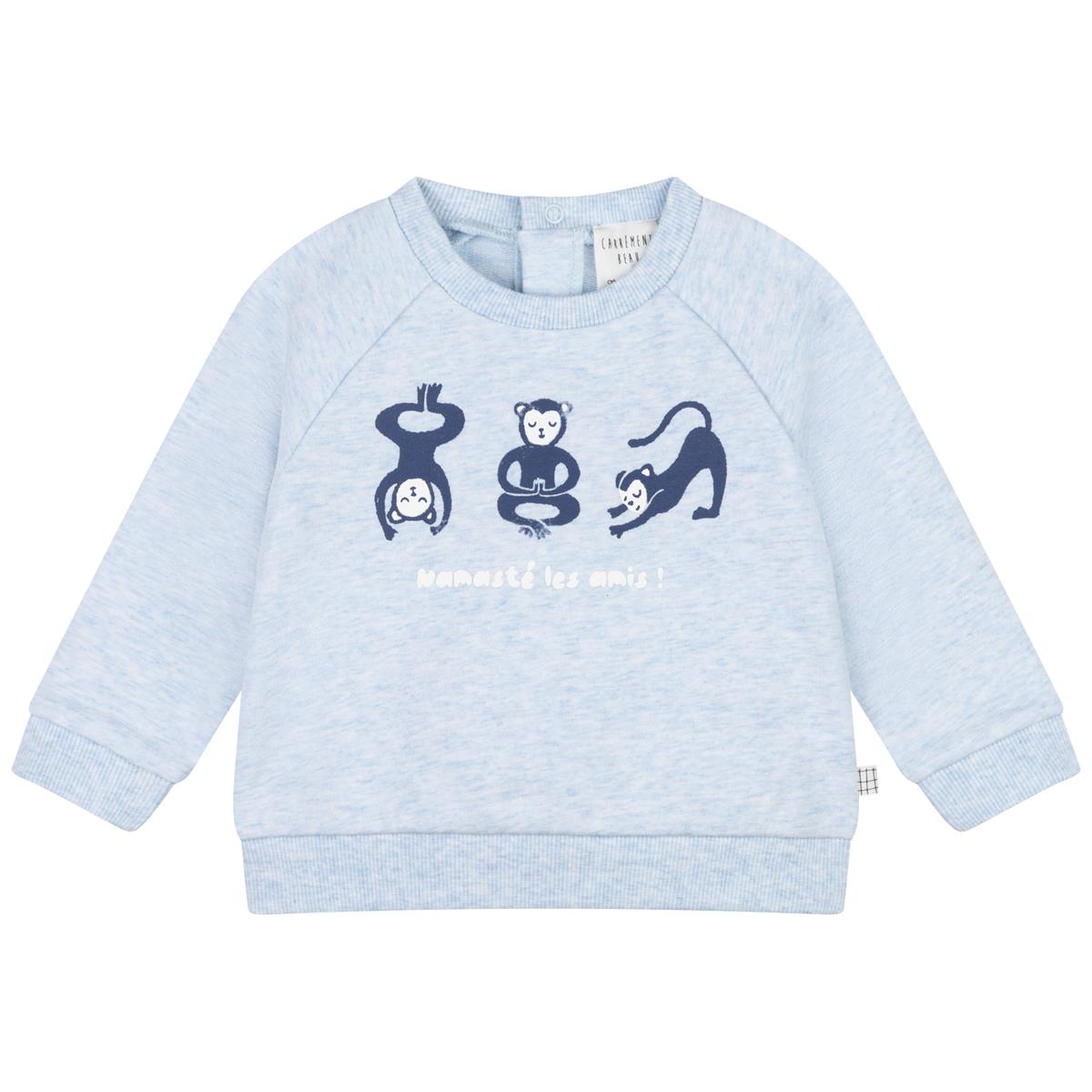 Baby Boys & Girls Grey Sweatshirt