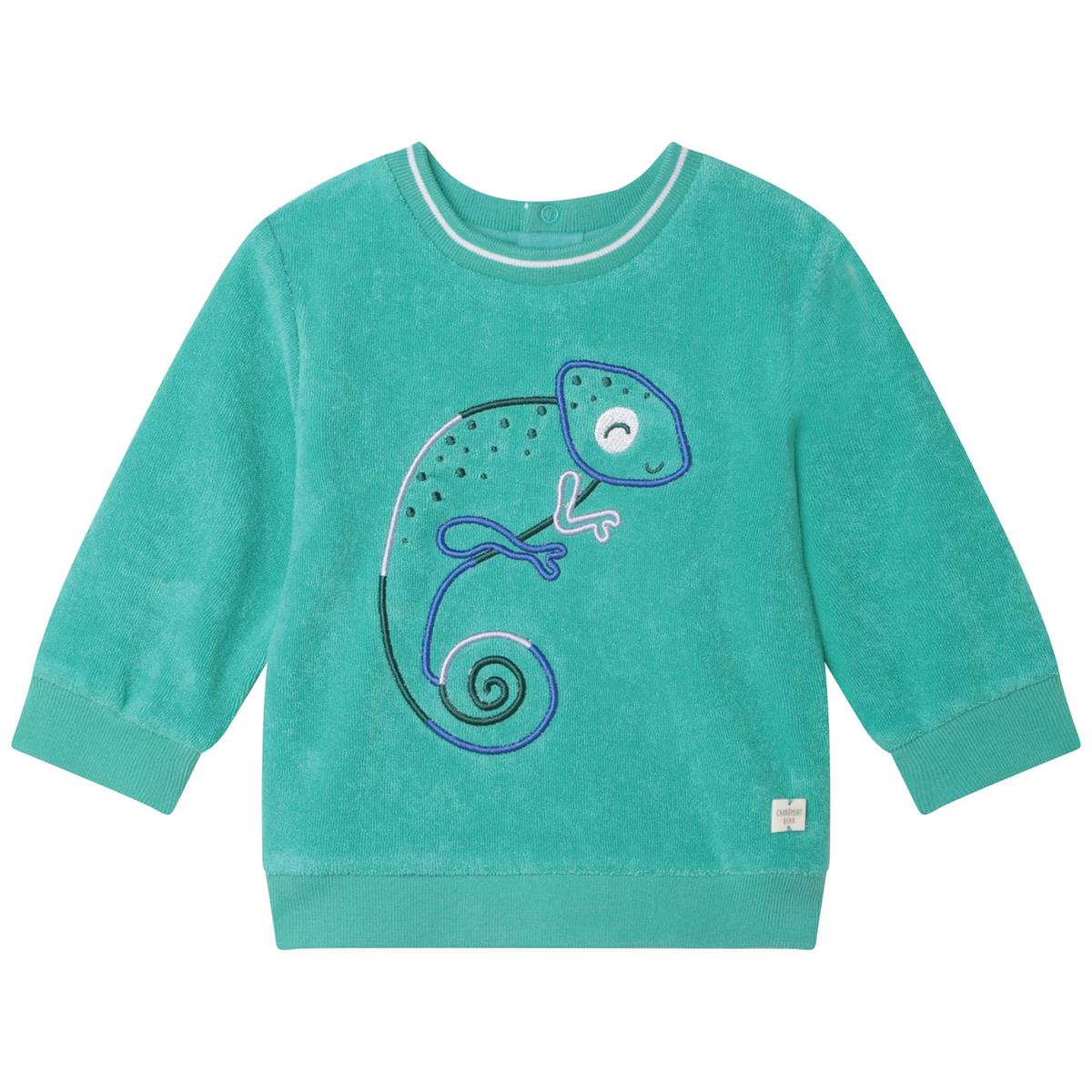 Boys Green Sweatshirt