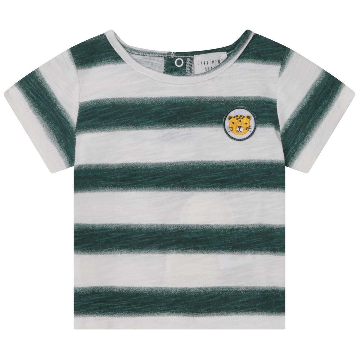 Boys Grene Stripes T-Shirt