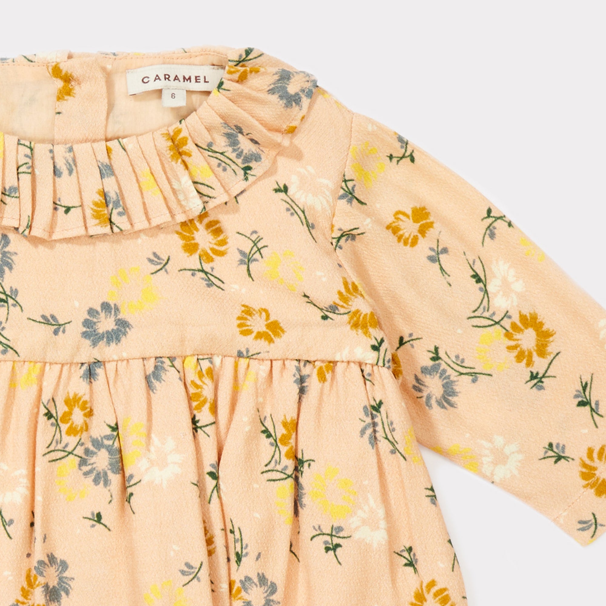 Baby Girls Blush Painted Flower Woven Dress