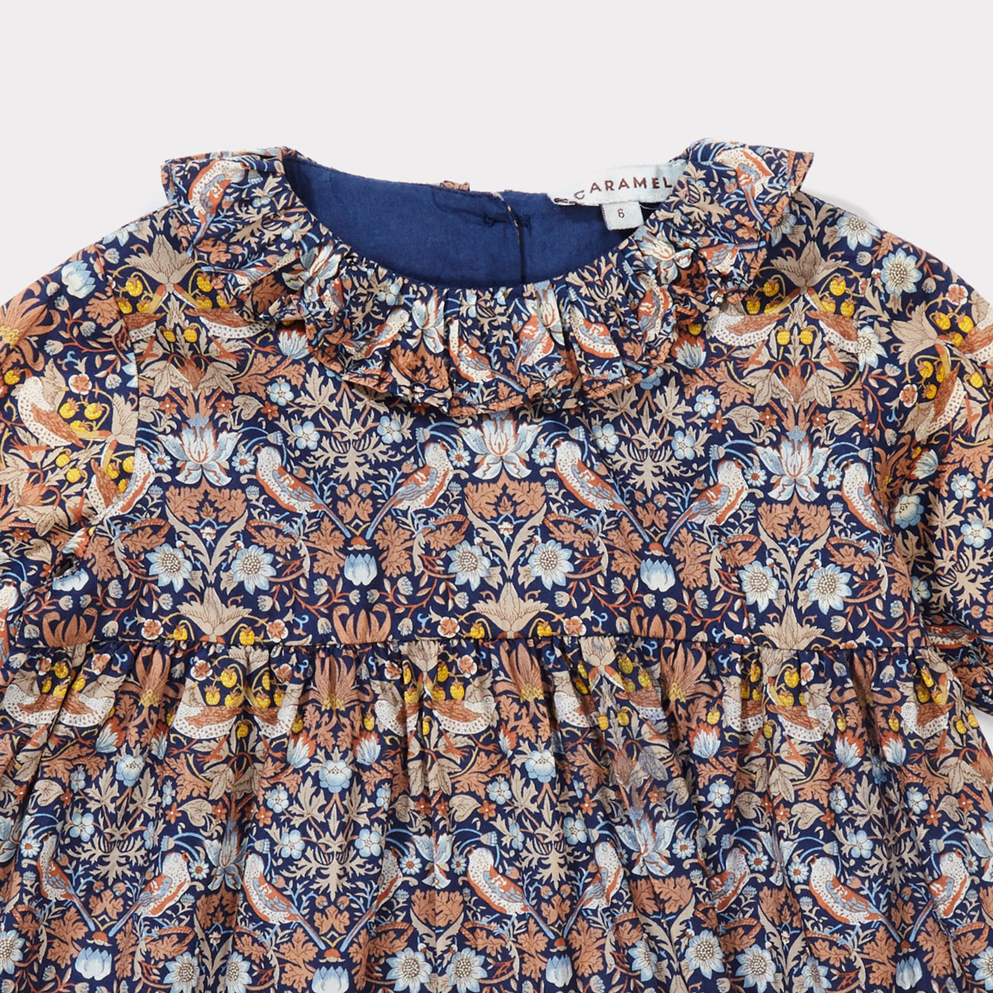 Baby Girls Liberty Strawberry Theif Cotton Dress