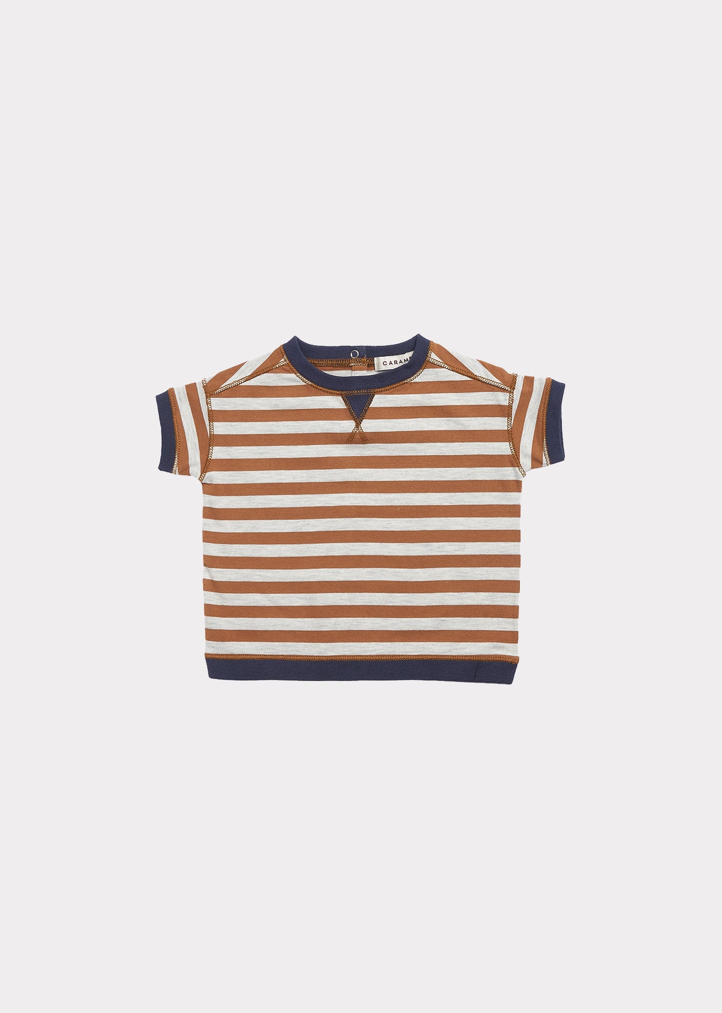 Baby Boys Brown Stripe Cotton T-shirt