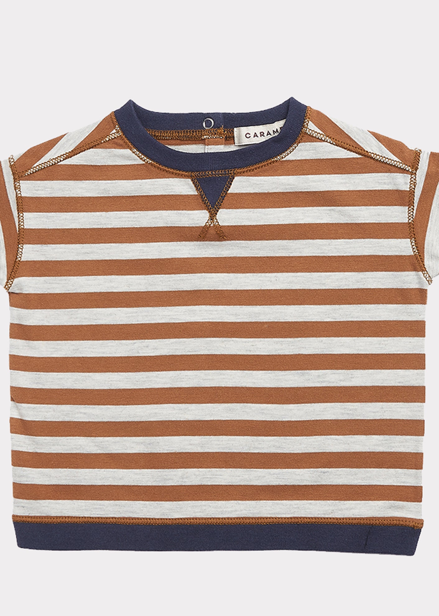 Baby Boys Brown Stripe Cotton T-shirt