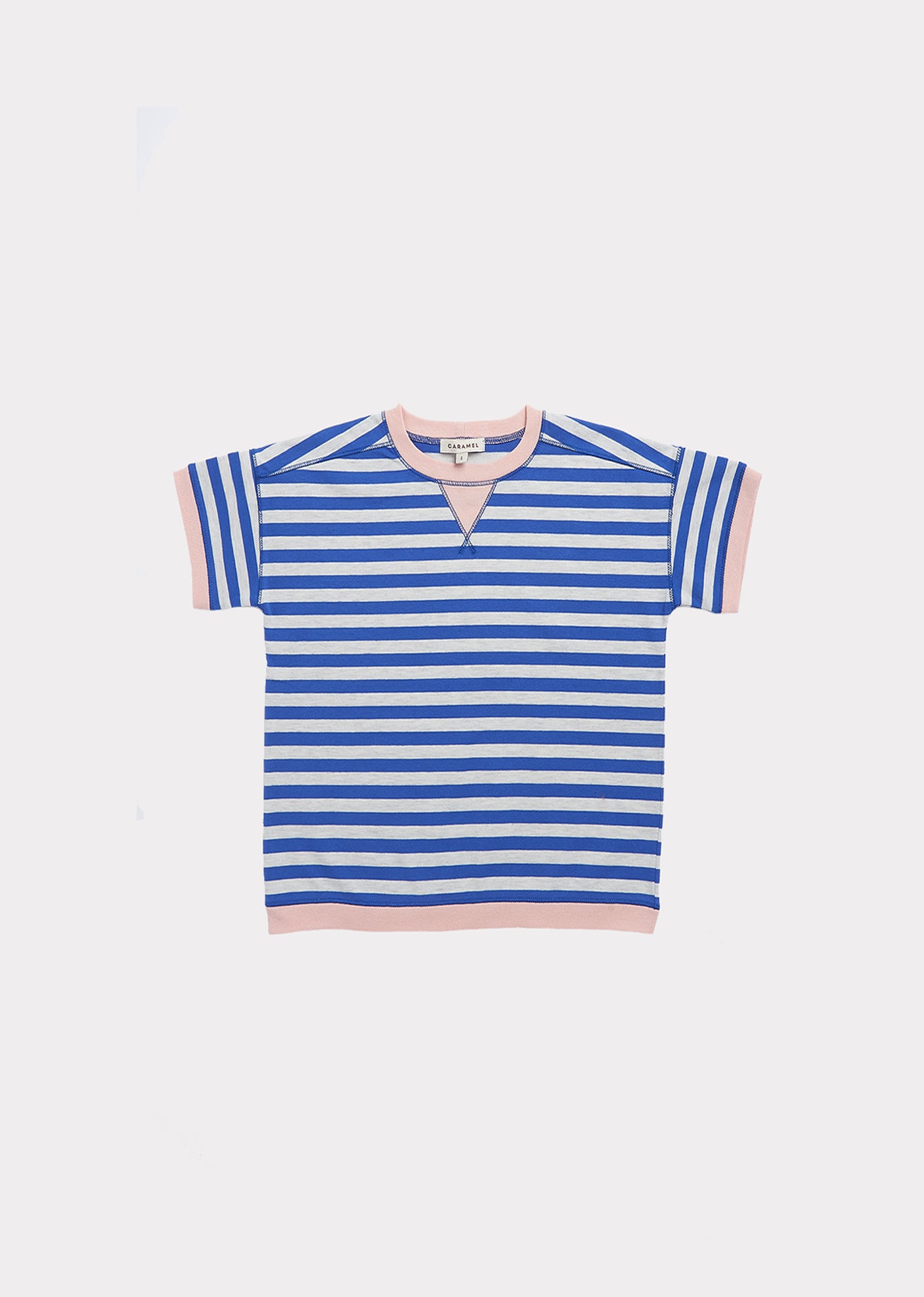 Boys Blue Stripe Cotton T-shirt