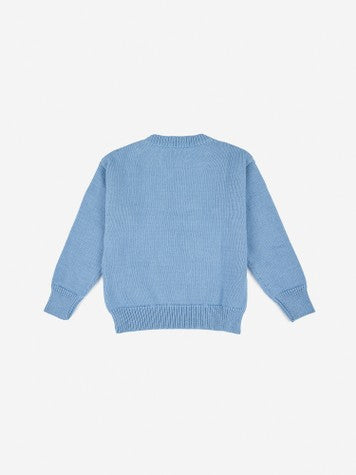 Baby Boys & Girls Blue Sweater