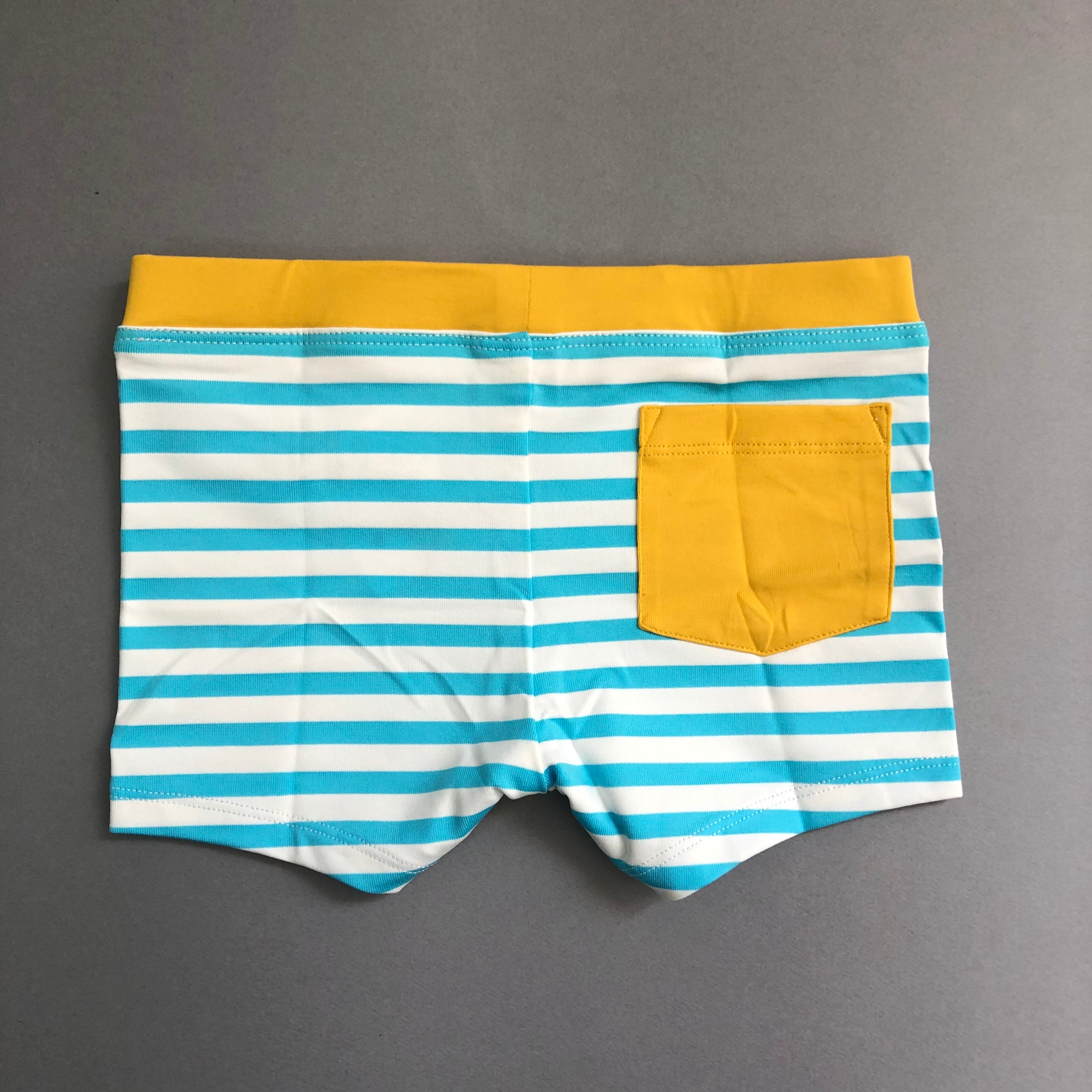 Girls & Boys Ray Blue Stripes Swim Shorts