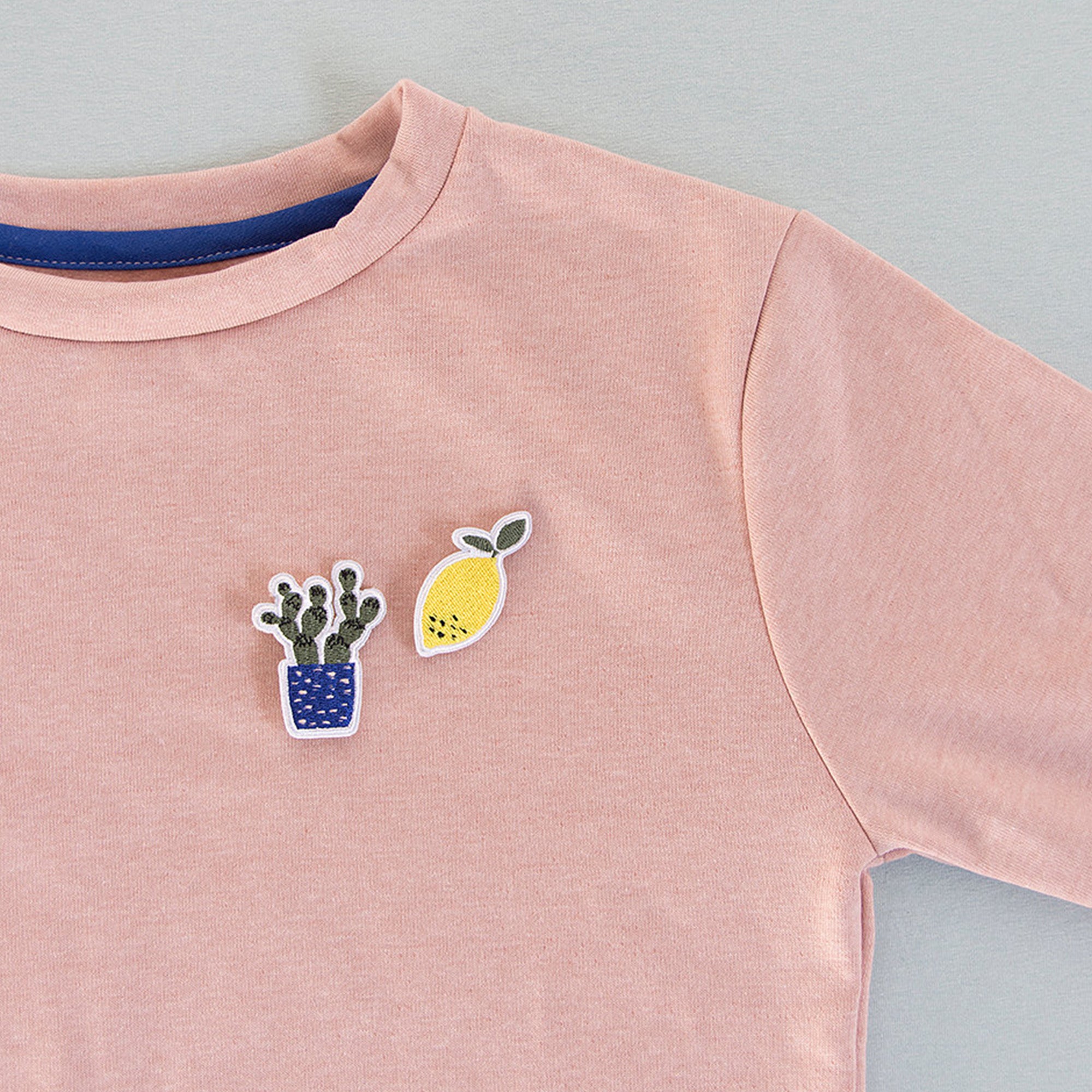 Sticky lemon Embroidered Pins Cactus