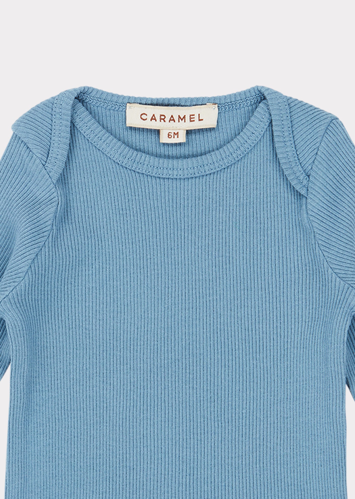 Baby Boys & Girls Blue Flycatcher T-Shirt